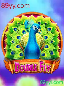 DoubleFly: Um Mergulho no Universo do Jogo Inovador